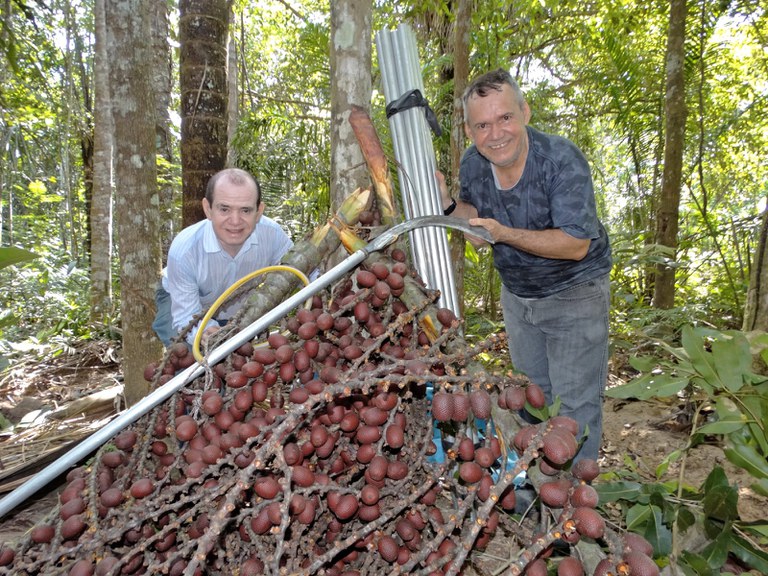 Tecnologia social do Inpa garante a segurança e aumenta a … – GOV.BR