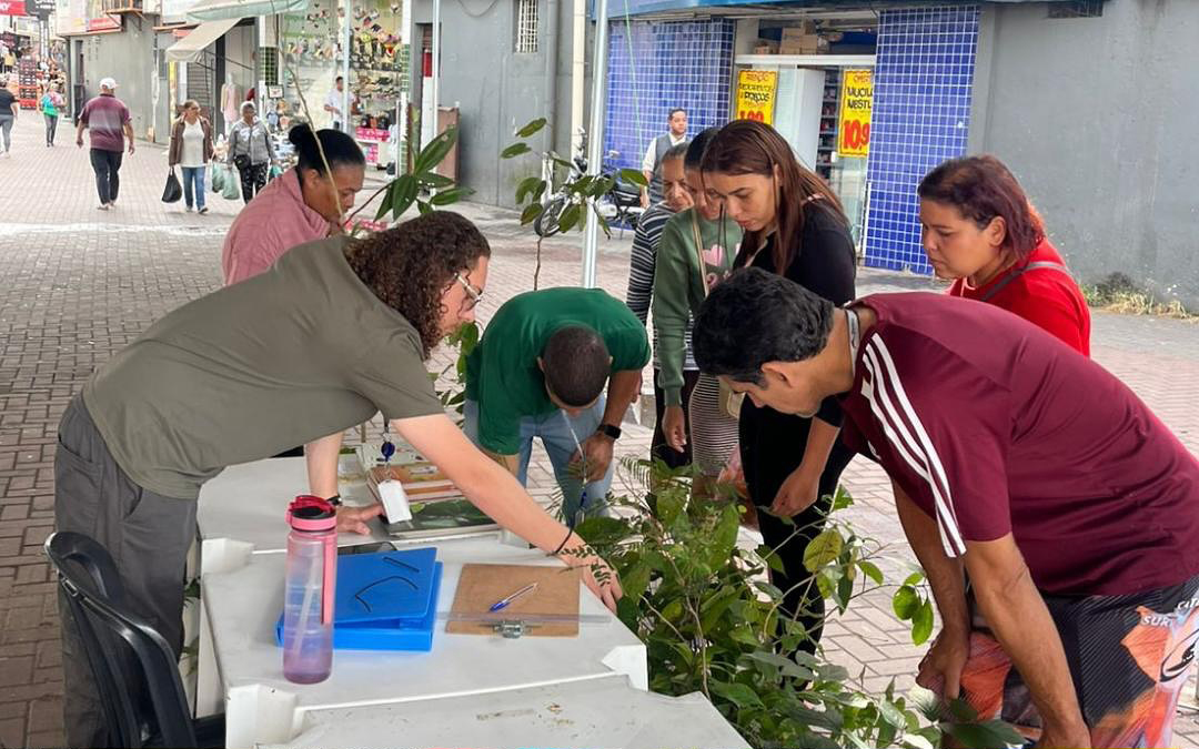 Prefeitura de Morato doa mudas de árvores