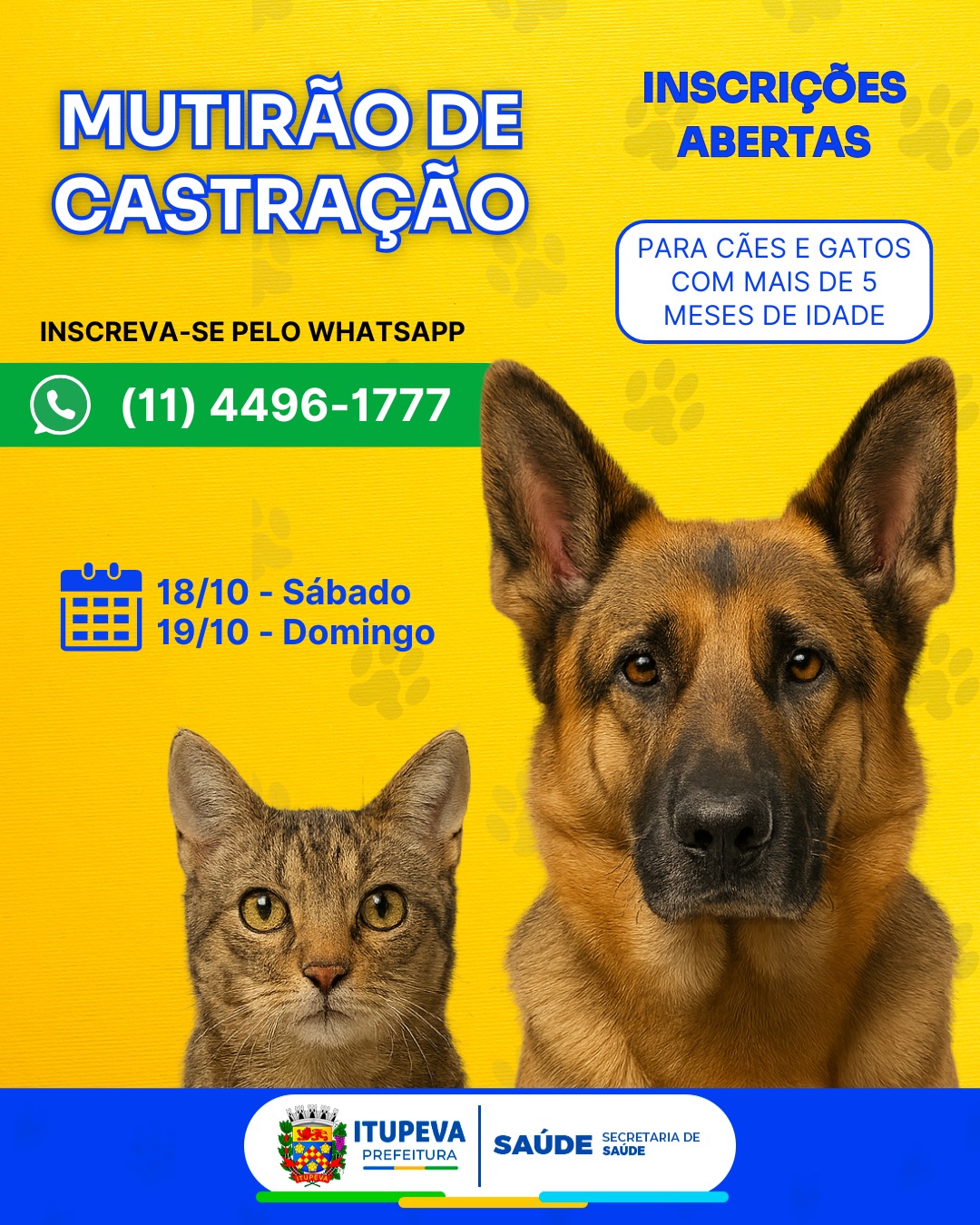 Mutirão de castração em Itupeva