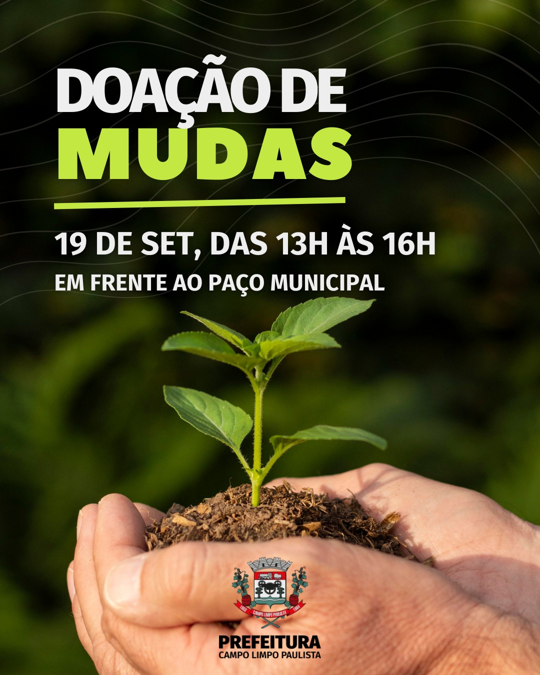 Campo Limpo Paulista realiza Doação de Mudas em Comemoração ao Dia da Árvore