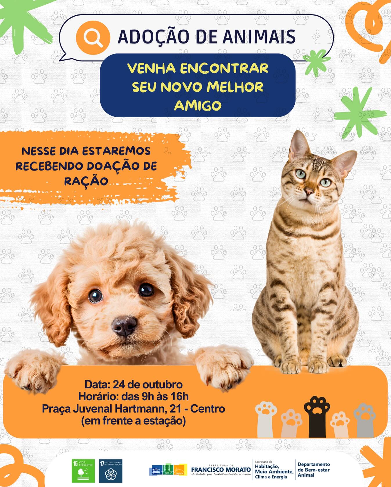 Francisco Morato promove Evento de Adoção de Animais