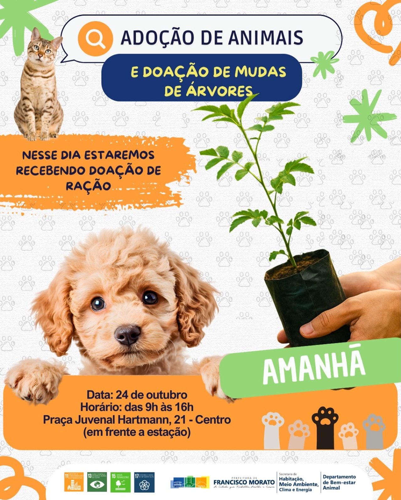 Adoção e Sustentabilidade: um dia para mudar vidas!