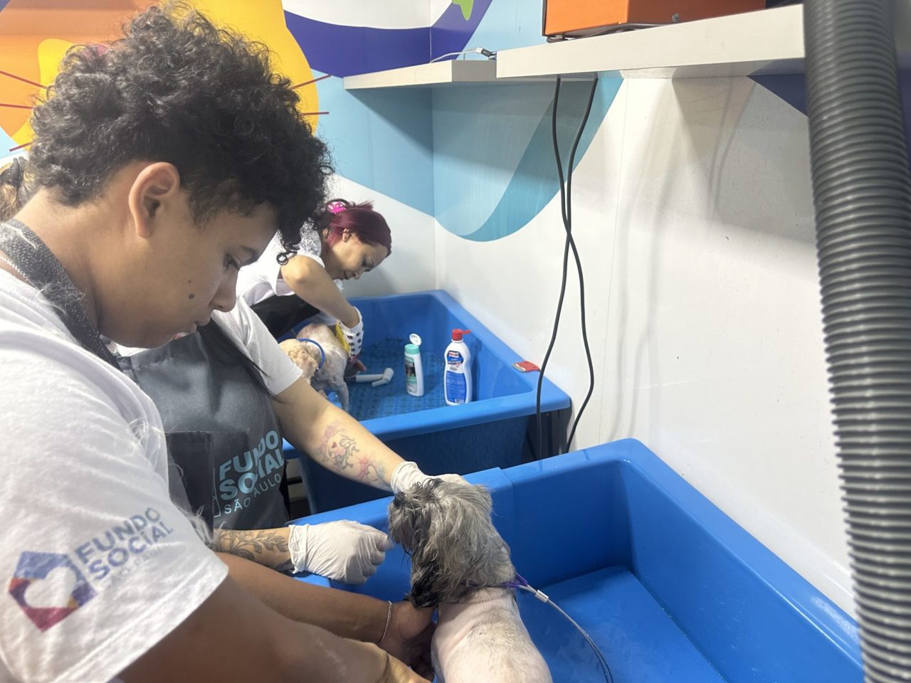 Cajamar conclui curso gratuito de Banho e Tosa com formação de três turmas