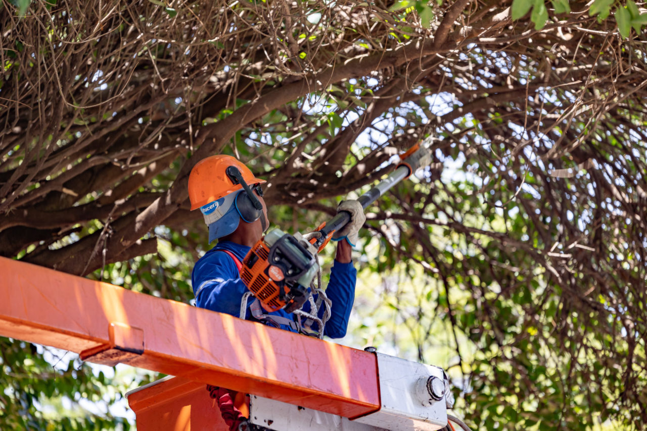 ‘Quem Ama Cuida’ permanece na Região Oeste de Jundiaí neste final de ano