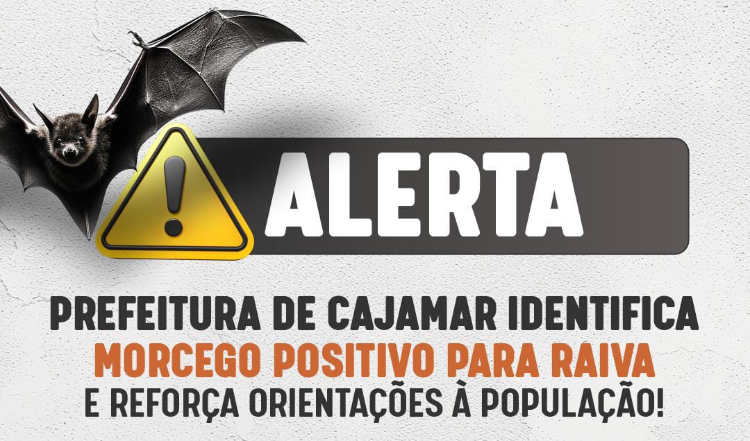 Prefeitura de Cajamar identifica morcego positivo para raiva e reforça orientações à população
