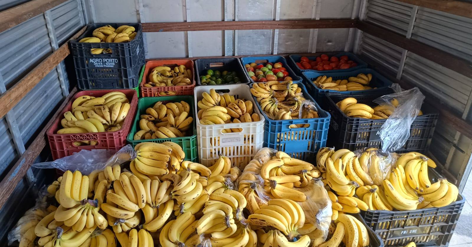 Segurança Alimentar em ação: 2,5 toneladas de alimentos garantem dignidade às famílias de Caieiras